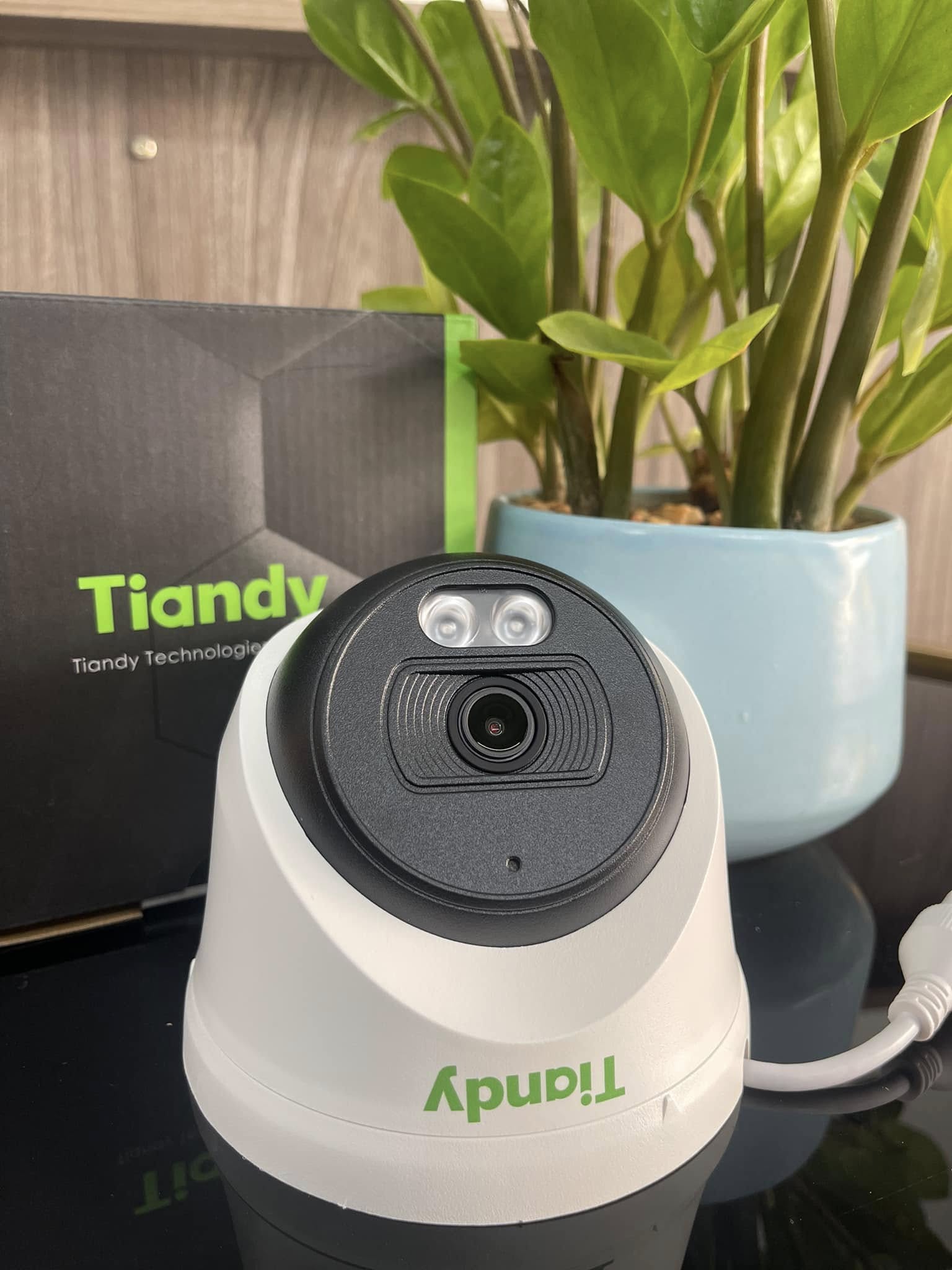Camera IP Dome Tiandy TC-C320N 2.0MP