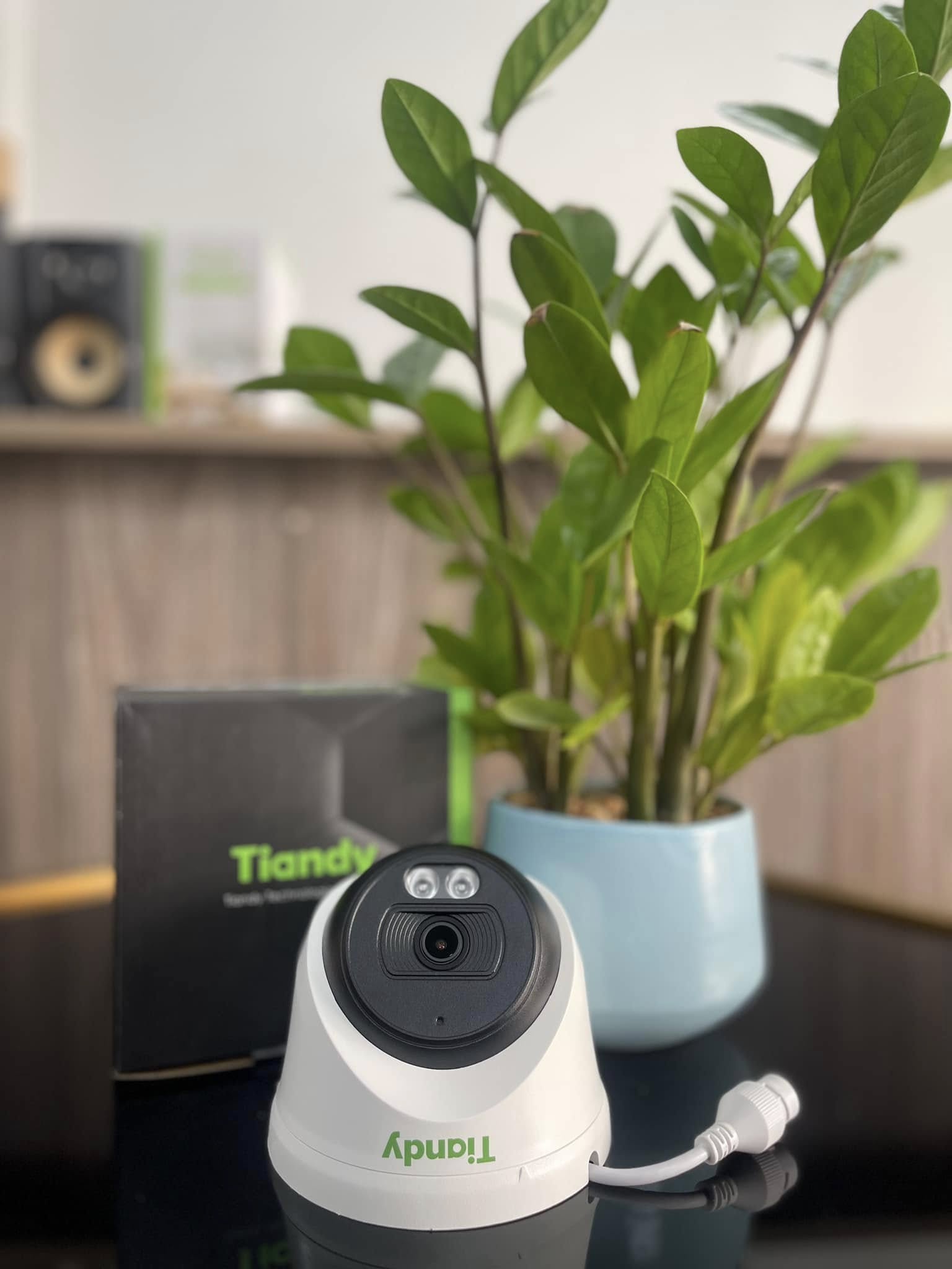 Camera IP Dome Tiandy TC-C320N 2.0MP