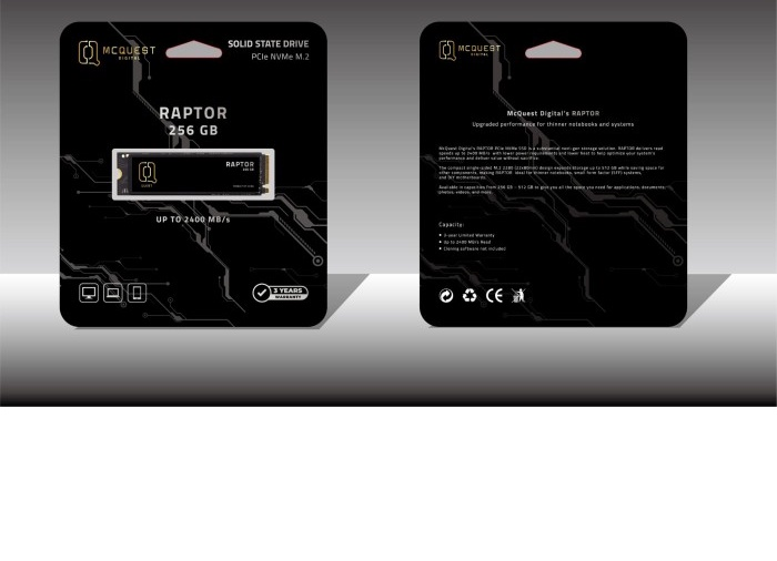 SSD McQuest Raptor 256GB M2 2280 PCIe NVMe Gen 3x4
