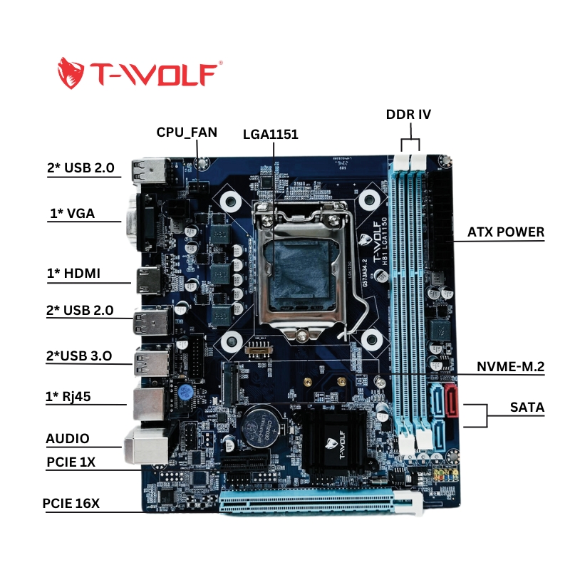 Main model TW-H81, hiệu T-wolf