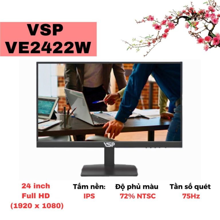 Màn hình LCD VE2422W VSP